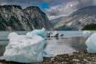 Beached icebergs from nearby McBride Glacier sit on a Muir Inlet beach. Art Print
